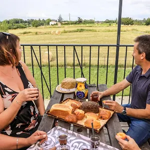 https://le-cottage-nature-loin-de-loeil-gaillac-entre-albi-toulouse.midi-pyreneeshotels.com